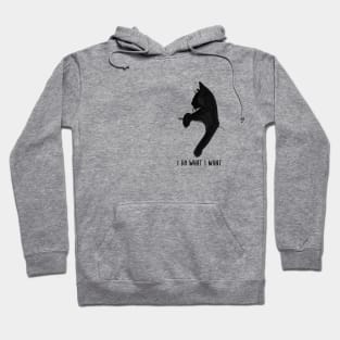 Cat does what she wants Hoodie